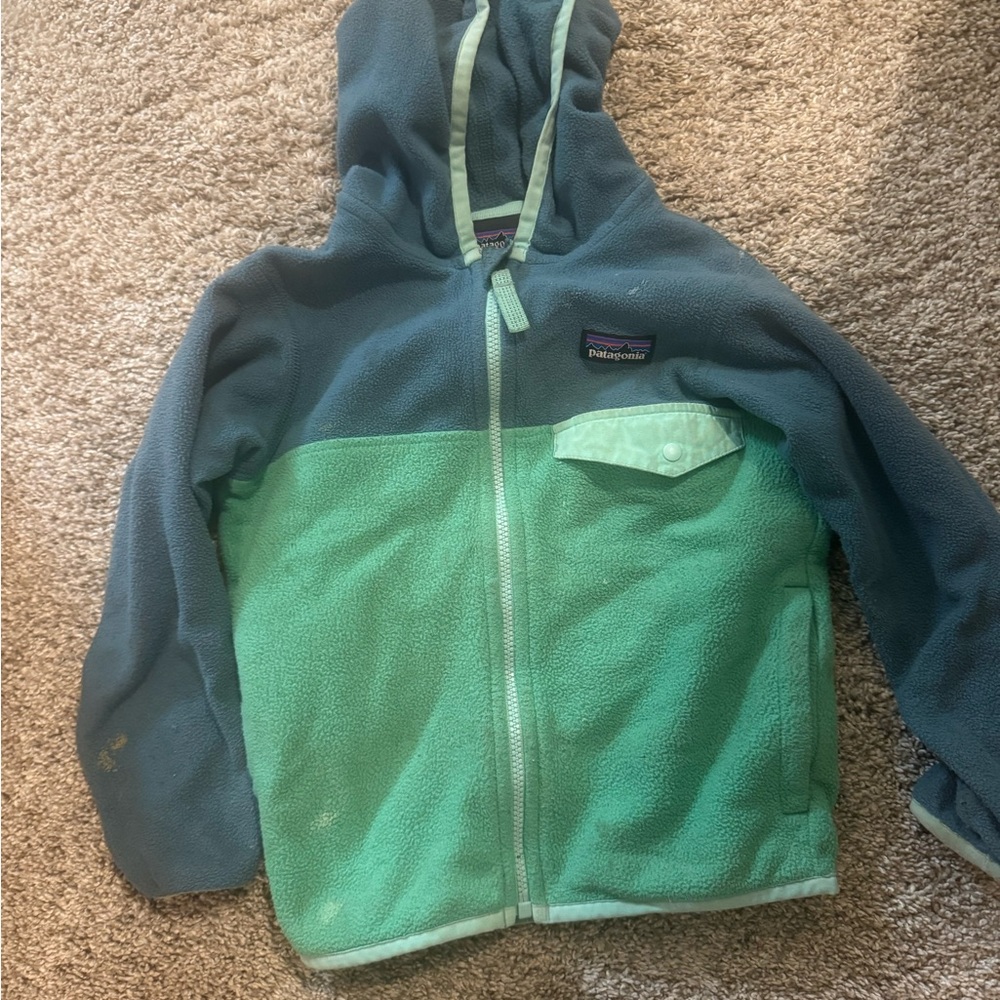 Patagonia Green and Blue Fleece Hoodie